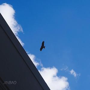 被黑人播种怀孕
