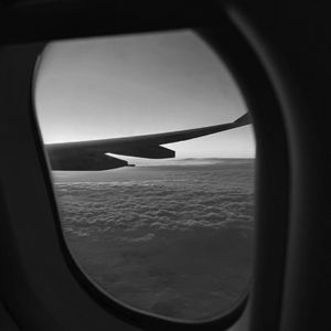 被黑人播种怀孕
