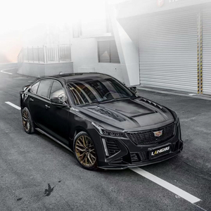 被黑人播种怀孕
